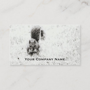 Foraging Squirrel Custom Business Cards