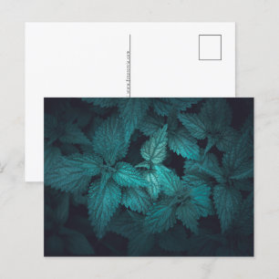 Foral Nature Photo Holiday Postcard