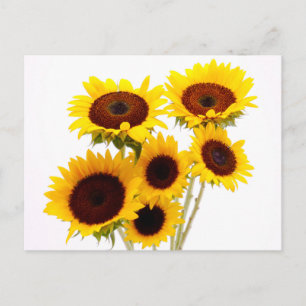 Foral Sunflowers Yellow Flowers - Love, Miss You Postcard
