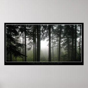 "FORBIDDEN MISTS" Green Misty Forest Photo Poster
