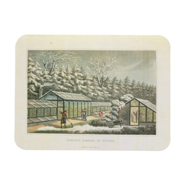 Forcing Garden in Winter, from Fragments on the Th Magnet (Horizontal)