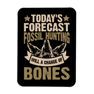 Forecast Fossil Hunting Will A Chance Of Bones Magnet