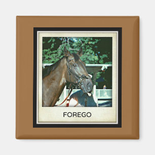 Forego Racehorse 1977 Magnet