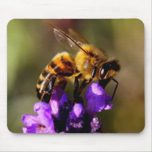 Foreground bee photo mouse pad