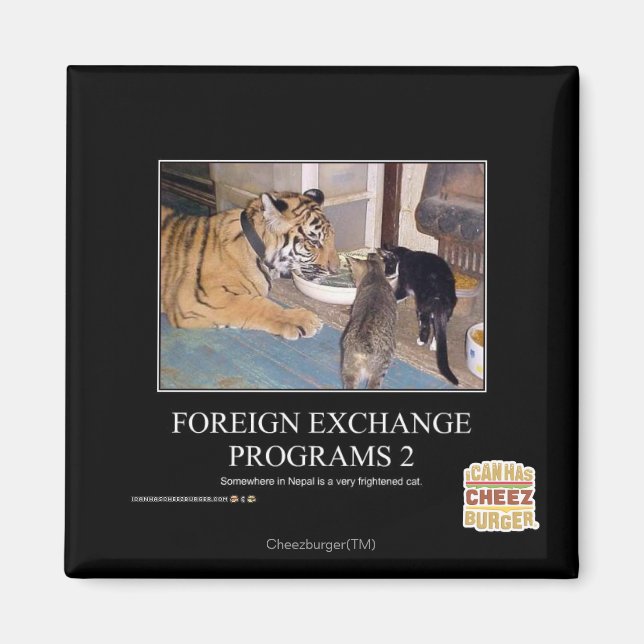 Foreign Exchange Programs 2 Magnet (Front)