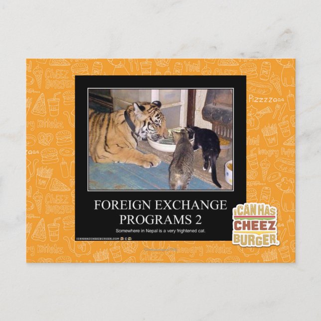 Foreign Exchange Programs 2 Postcard (Front)