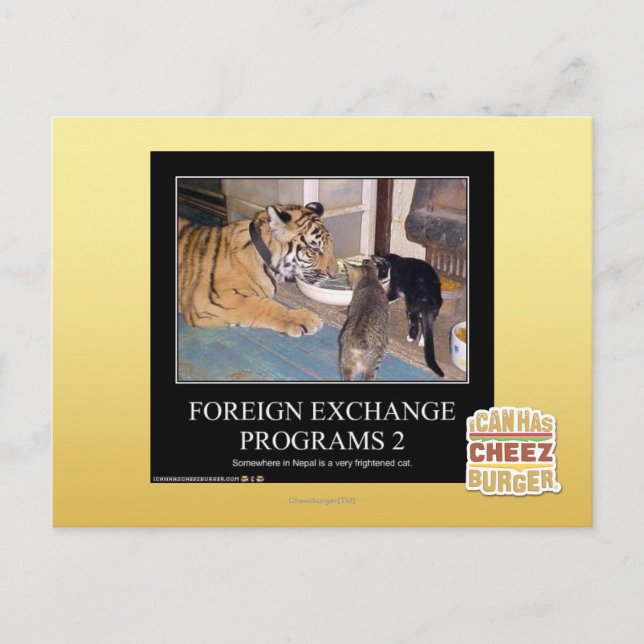 Foreign Exchange Programs 2 Postcard (Front)