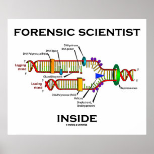 Forensic Scientist Inside (DNA Replication) Poster