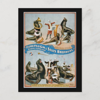 Forepaugh and Sells - vintage circus sealions Postcard