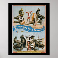 Forepaugh and Sells - vintage circus sealions
