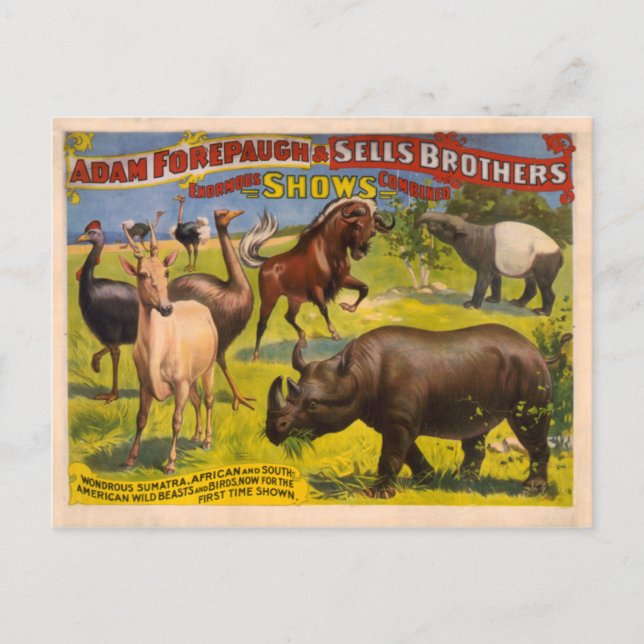 Forepaugh and Sells Wondrous Beasts Circus Poster Postcard (Front)