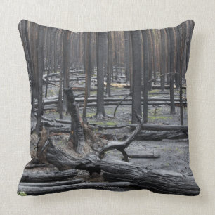 Forest after fire in Yellowstone National Park Cushion