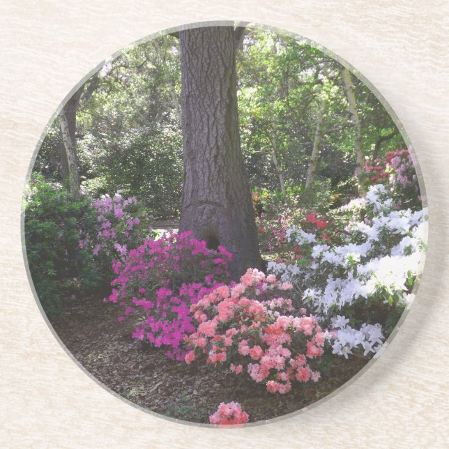 Forest and flowers coasters (Front)