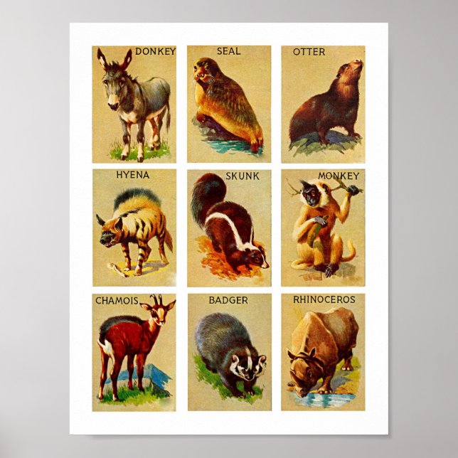 Forest and jungle Animals Nature Wildlife Art Poster (Front)