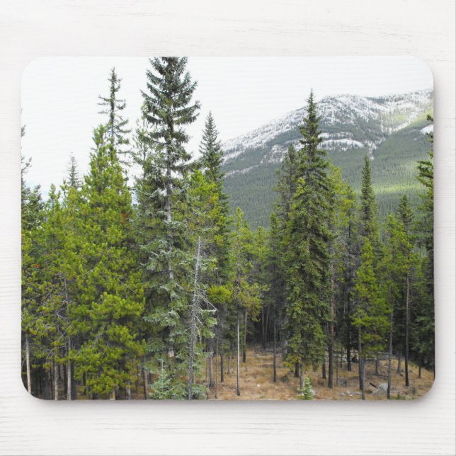 Forest and Mountain Scene Mouse Pad (Front)