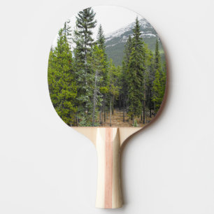 Forest and Mountain Scene Paddle