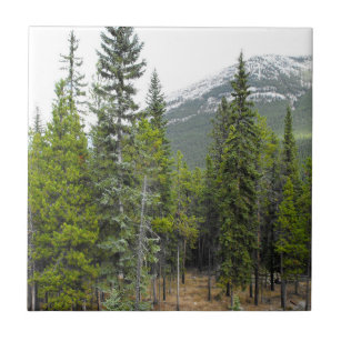 Forest and Mountain Scene Photo Tile