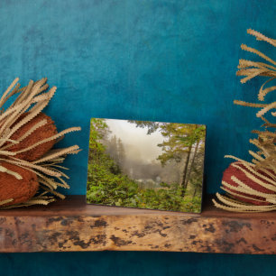 Forest and Ocean Landscape Plaque