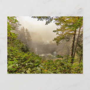 Forest and Ocean Landscape Postcard