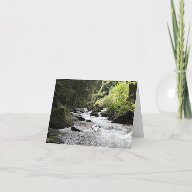Forest and Stream Blank Notecards (Front)