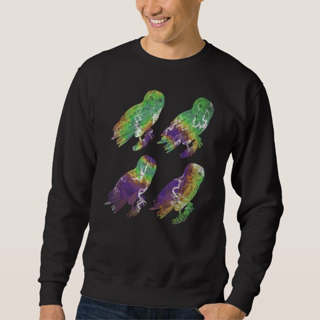 Forest Animal Wise Bird Colourful Owl Sweatshirt (Front)