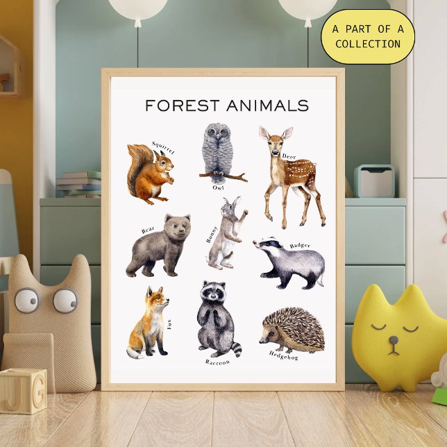 Forest Animals Educational Poster (Creator Uploaded)