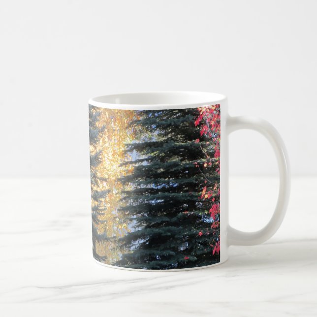 Forest Autumn Trees on a Sunny Day Coffee Mug (Right)