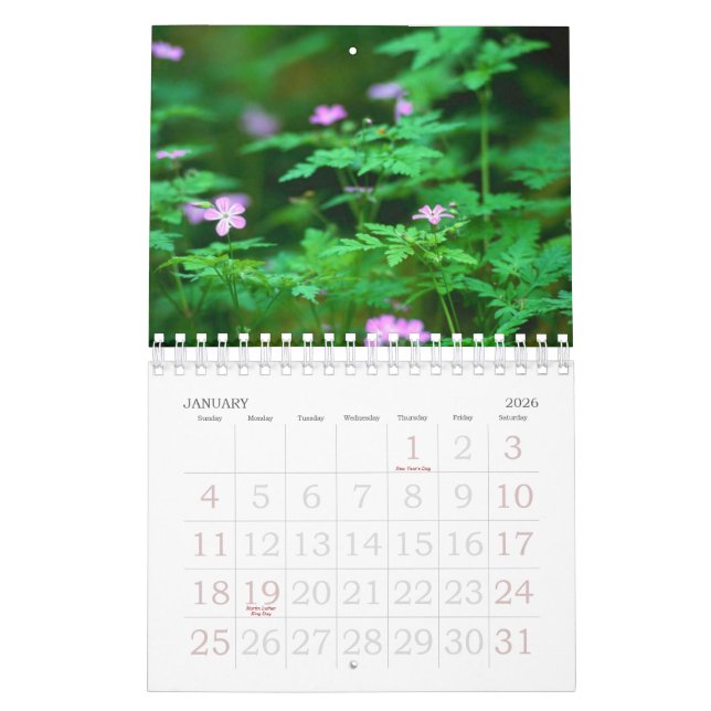 Forest Calendar (Jan 2026)