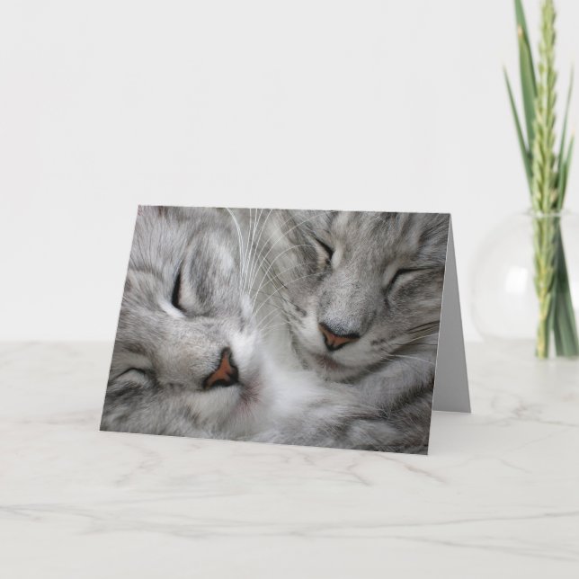 Forest cat card (Front)