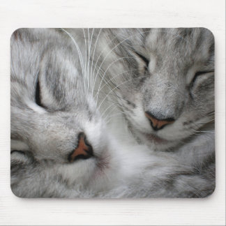 Forest cat mouse mat