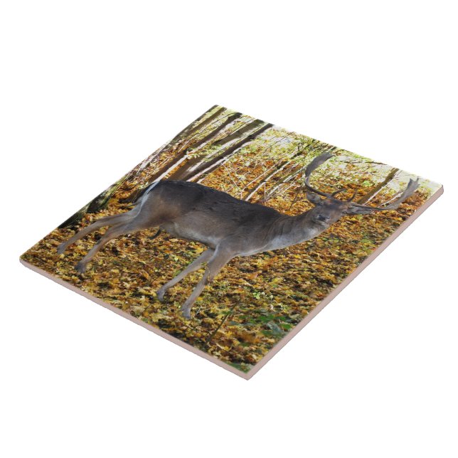 forest ceramic tile (Side)