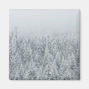 Forest covered in snow magnet