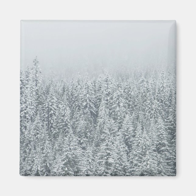 Forest covered in snow magnet (Front)
