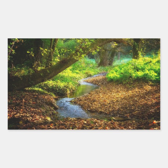 Forest Creek Beautiful Nature Landscape Photo Rectangular Sticker (Front)