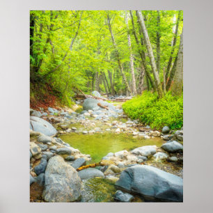 Forest Creek Nature Landscape Photo Print Art