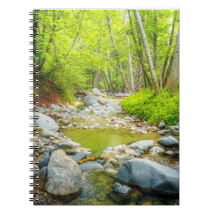 Forest Creek Notebook   Peaceful Woodland Journal