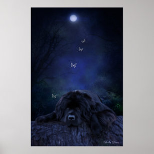 Forest Dreamer Poster