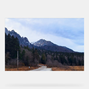 Forest Drive Scenic Landscape Wild Nature Romania Acrylic Sign