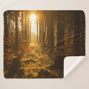 Forest During Autumn Baden Württemberg, Germany Sherpa Blanket