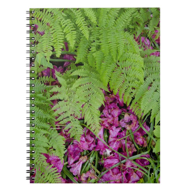 Forest ferns with pink flower petals on ground notebook (Front)