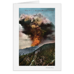 Forest Fire view in Mountains