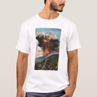 Forest Fire view in Mountains