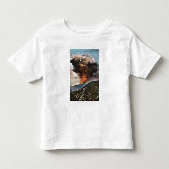 Forest Fire view in Mountains Toddler T-Shirt (Front)