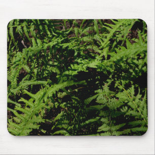 Forest Floor Ferns Mouse Pad