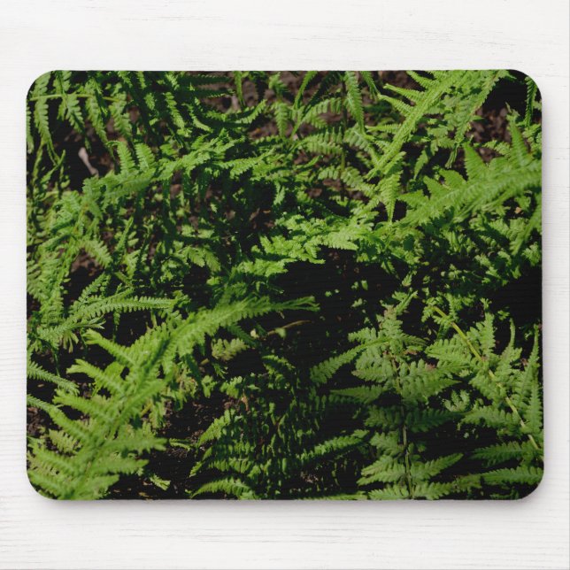 Forest Floor Ferns Mouse Pad (Front)