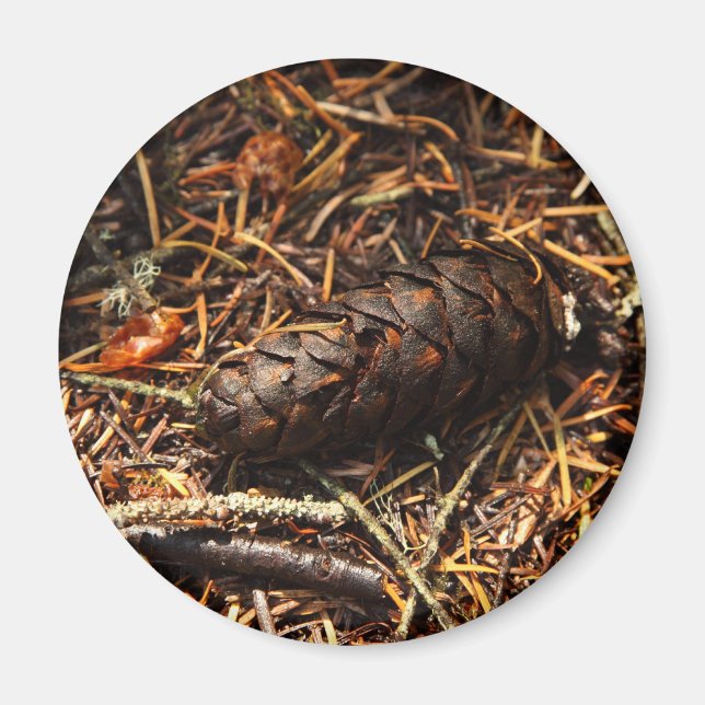Forest Floor Magnet (Front)