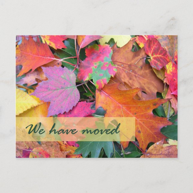 Forest Floor New Address Template (Front)