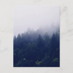 Forest Fog Postcard