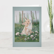Forest Fox