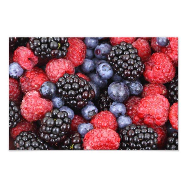 Forest Fruit Background Photo Print (Front)